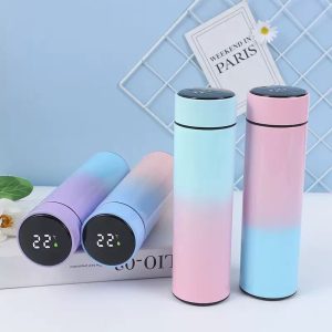 500ml Temperature Flask